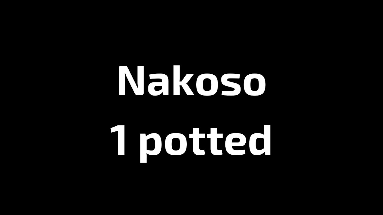 Nakoso 1 potted
