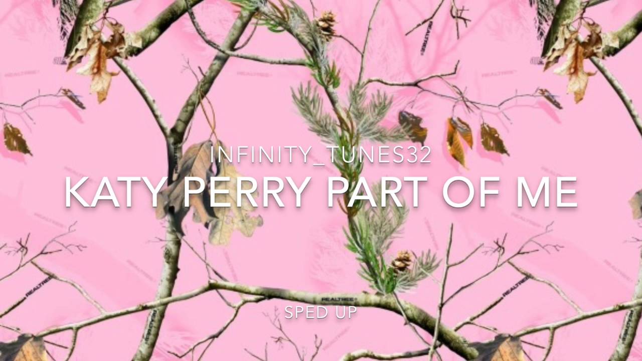 Katy Perry, Part Of Me Sped Up
