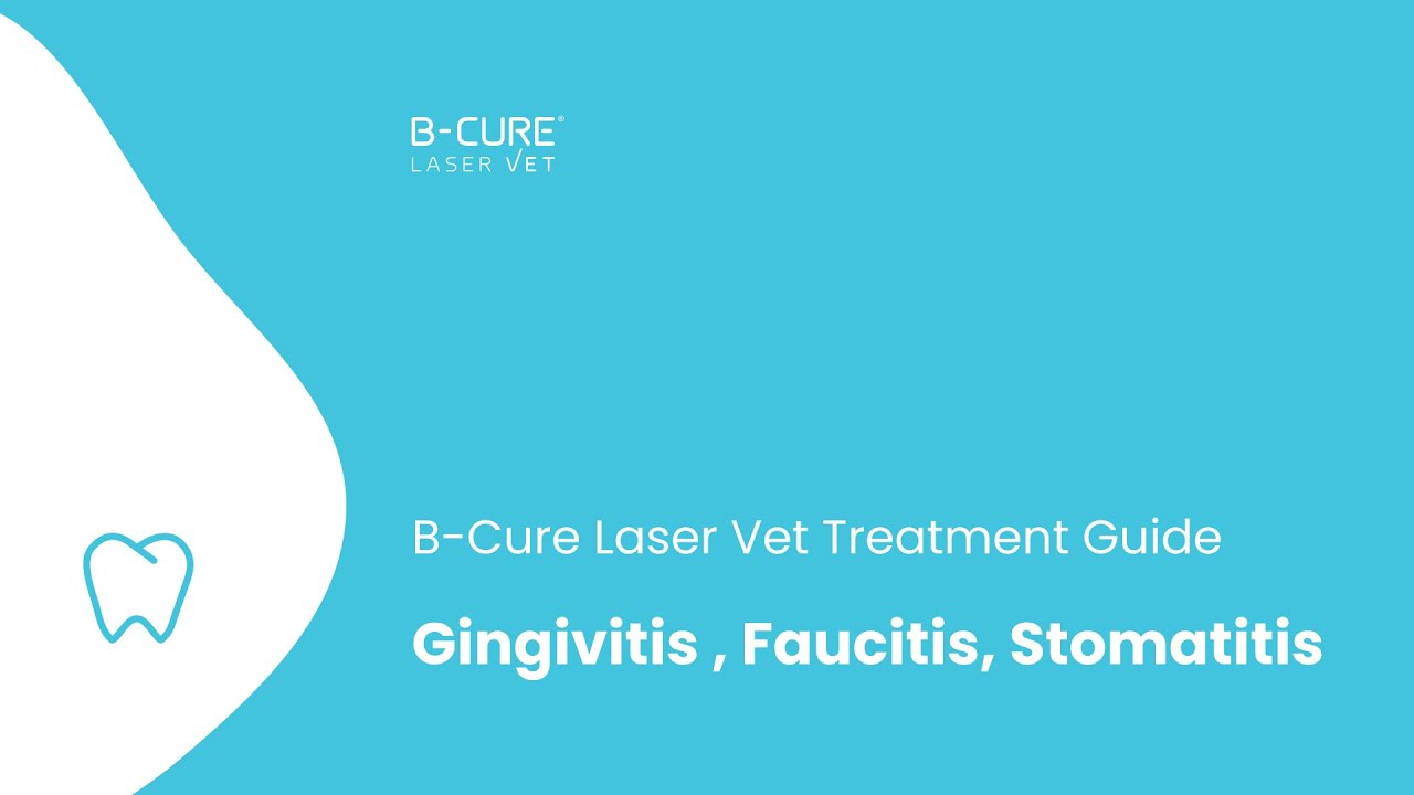 BCure Laser Vet Treatment Guide Gingivitis , Faucitis, Stomatitis