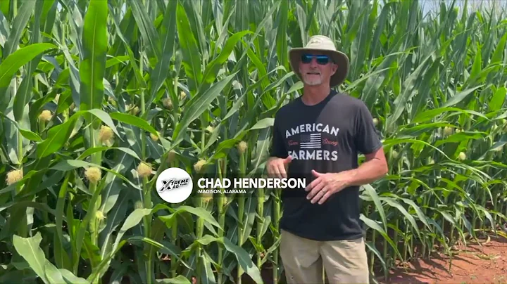 Chad Henderson discusses foliar fungicides and the importance of plant health