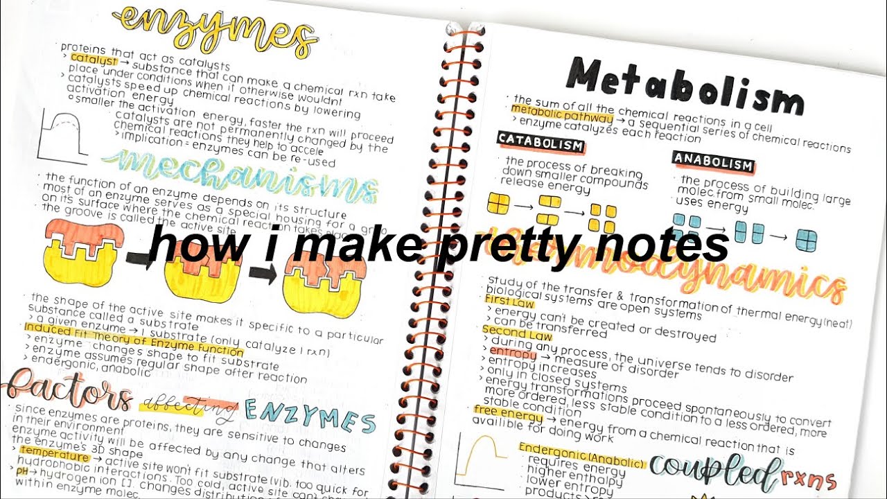 How I Make Pretty Notes! 💕