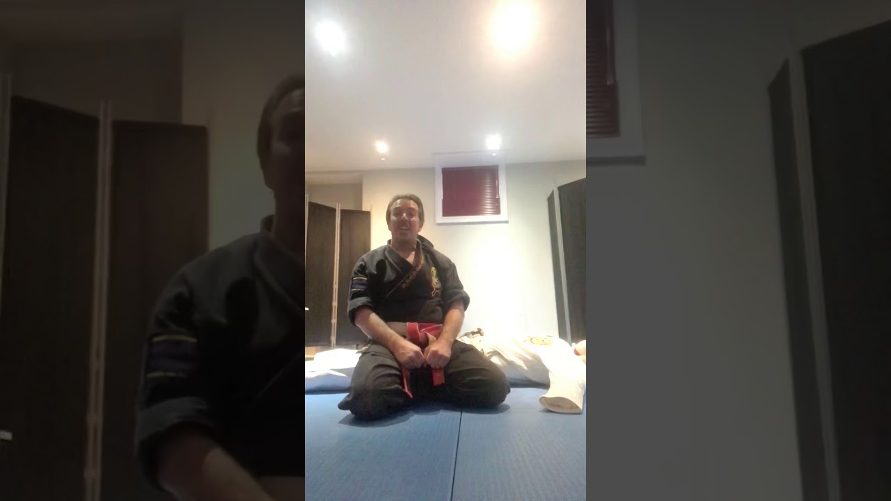 Follow Up to Making Your Own Training Partner