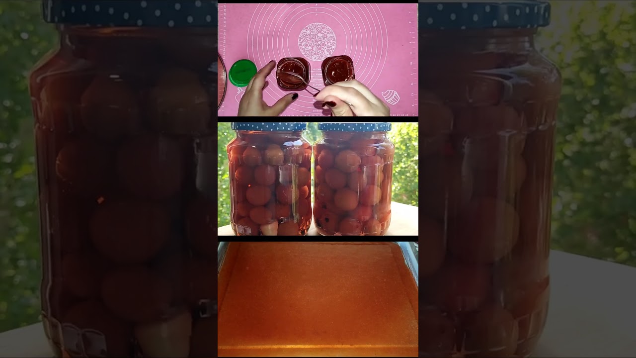 qırmızı turş alçadan lavaşana, palçıq turşu və qışa turşu. hazırlanması kanalımda