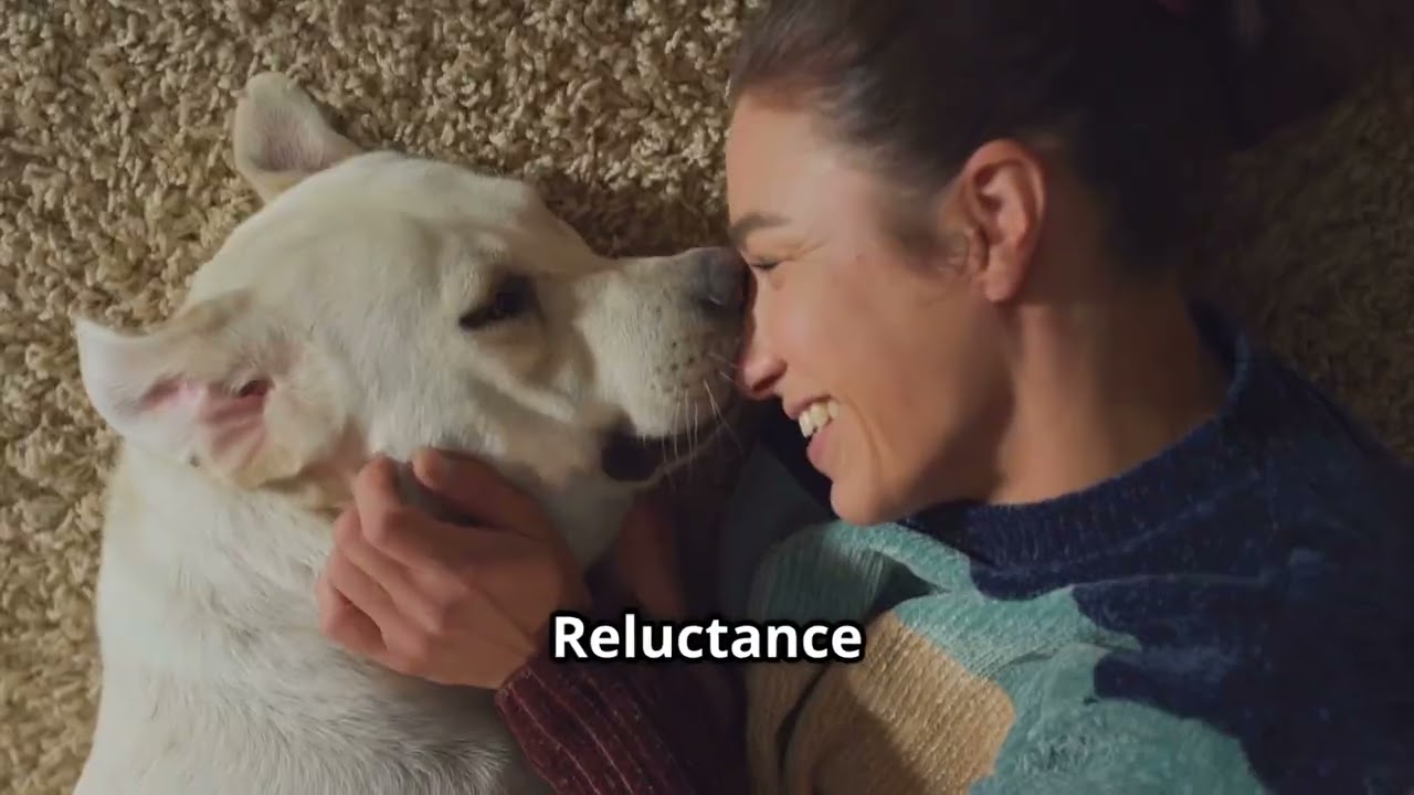 Your Energy Controls Your Lab's Confidence - The Secret to New Places - Love The Labrador