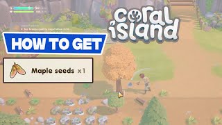 CORAL ISLAND: How to get Maple Seed