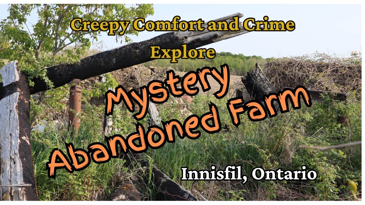 Innisfil. Mystery Farm, look what we found! 👀 YouTube
