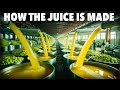 From Orchard to Bottle | How Apple Juice Is Really Made