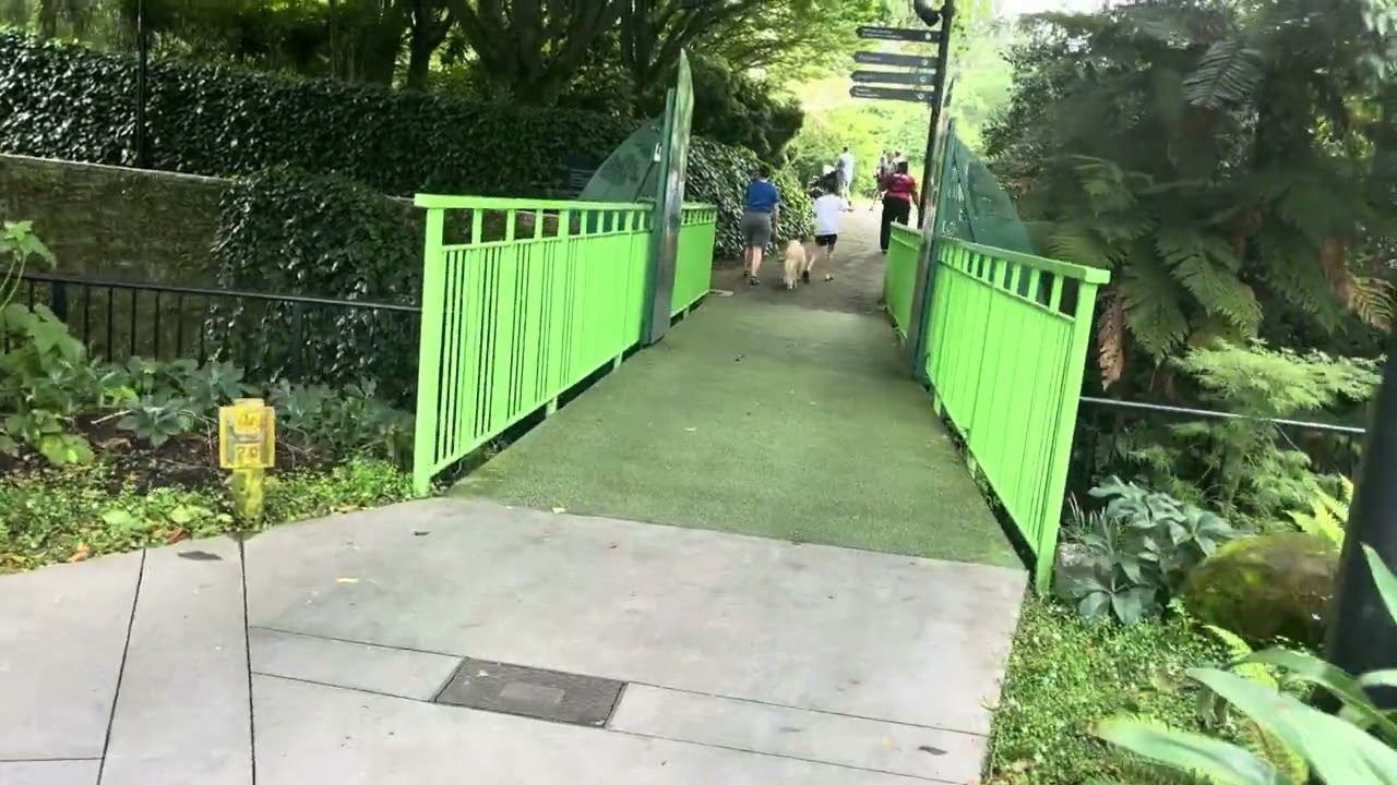 Holidays in Auckland ❤️🥰