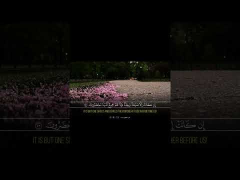 قرآن كريم بصوت القارئ عمر محجوب حسام الكوافحه اشترك في القناة فضلا وليس امرا دعمكم يهمنا