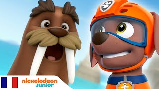 Paw Patrol : la Pat'Patrouille | Morse coincé | Nick Jr.