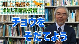 チョウを育てよう：チョウの食草園を作って実験してみた