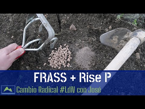 Video: Modificación del suelo arenoso: ¿Qué es el suelo arenoso y cómo mejorarlo?