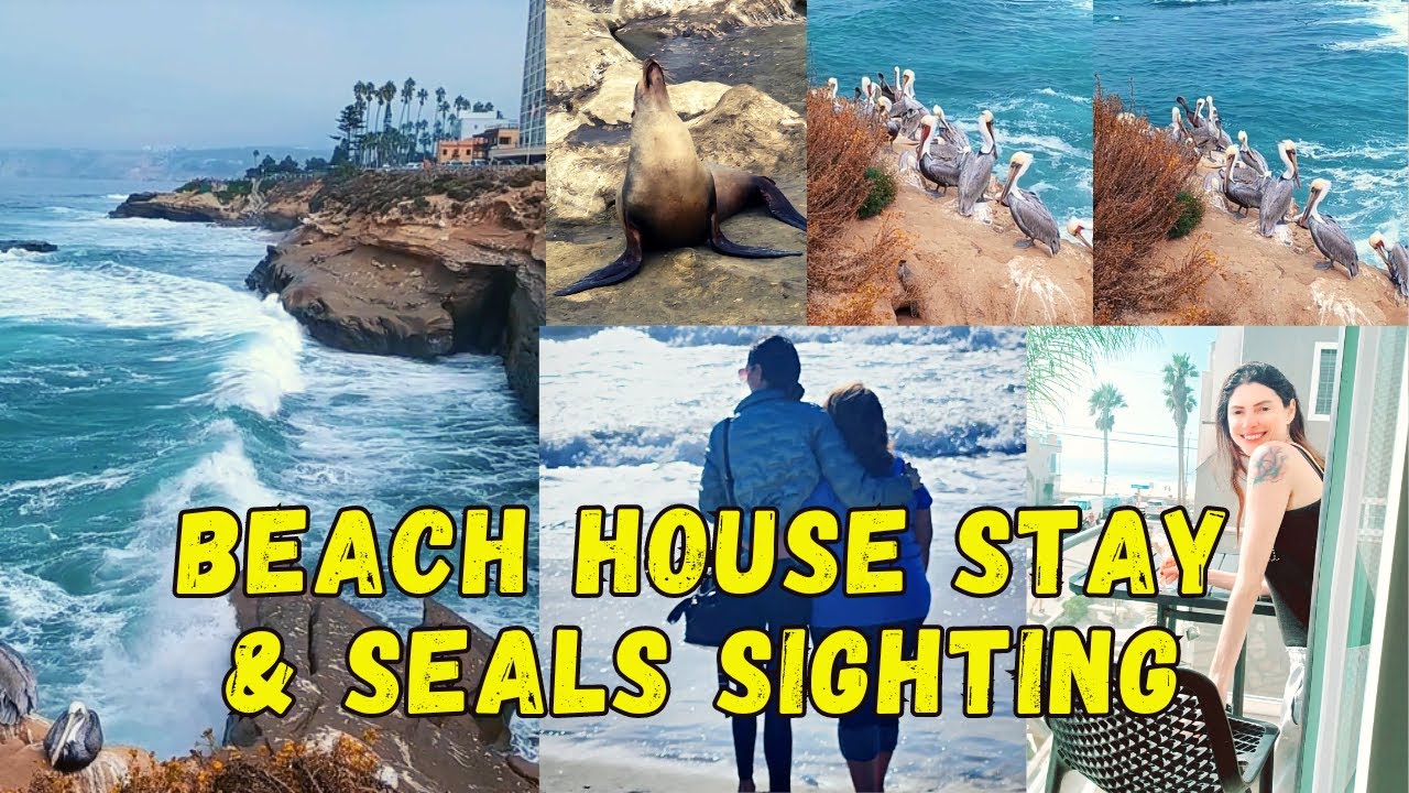 BLUEWATER VACATION HOME TOUR & LA JOLLA SEALS SIGHTING // SAN DIEGO