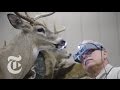 Taxidermy's Best in Show | The New York Times