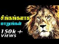 Tamil motivation  lion motivation tamil  no excuses  tamil