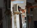split outdoor service #shorts #split #airconditioner #shortvideo