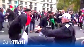 Furious protestors confront police making arrest at pro-Palestine march in London