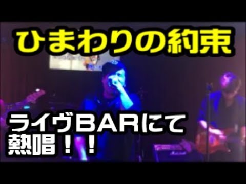【歌ってみた】ひまわりの約束/秦基博 covered by ヒドンナ