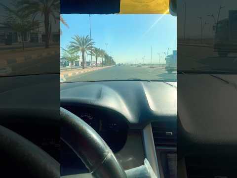 صباح النشاط والقهوة الصباحية وصوت الحبيب 