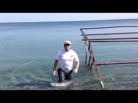 Video: Ինչպես բռնել ջրիմուռը բոցով