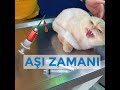 AŞI YAPARKEN KÜFÜR EDEN KEDİ YİNE GELDİ