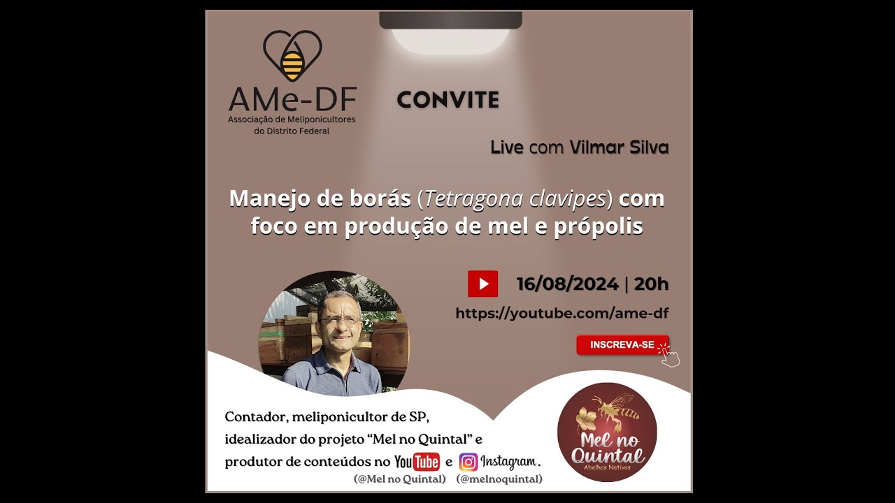 Manejo de borás (Tetragona clavipes) com foco em produção de mel e própolis