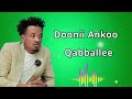 Doni Anko Qabballee Doni Anko Qabballee