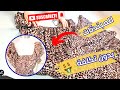 ارواحي نخيطو مع بعض قندورة مطلوبة بكثرة وبأبسط الإمكانيات ارواحي نخيطو مع بعض قندورة مطلوبة بكثرة وبأبسط الإمكانيات