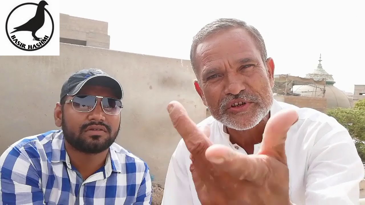 Pigeons Of Ustad Ateeq.(Desi Vaccination ka Nuskha)