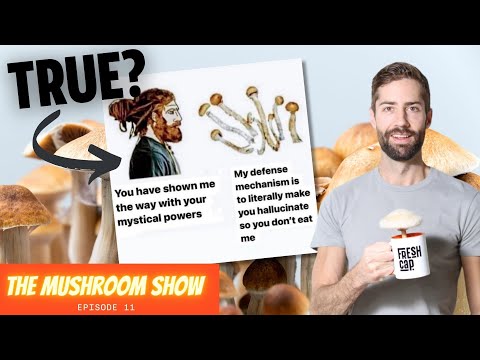 Video: I svampar apopyle är?