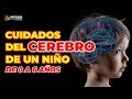 CUIDADOS DEL CEREBRO en la primera infancia - Cómo cuidar el cerebro de un niño de 0 a 6 años