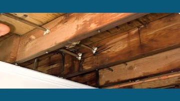 Addressing mold after a natural disaster