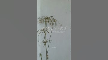 سورة الحجر #quran #قرآن #هزاع_البلوشي #سورة_الحجر