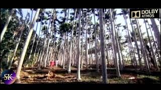 MAYILE  MAYILE / KADAVUL AMAITHA MEDAI (1979) / ILAYARAJA / SPB - JENCY / DOLBY AUDIO / USE  🎧