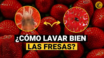 ¿Hay que lavar la fruta con agua caliente o fría?