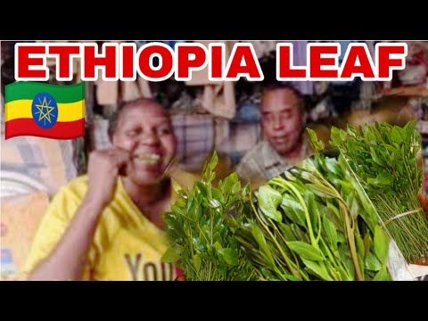 The Secret They Don T Tell Tourists Uncovering The Truth About Ethiopia S Dangerous Leaf