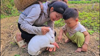The life of a 17yearold single mother: Harvesting Vegetables for Sale  Saving Pregnant Rabbits
