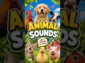 Can You Guess These Animal Sounds? 🐾🔥 FREE SFX for Creators!