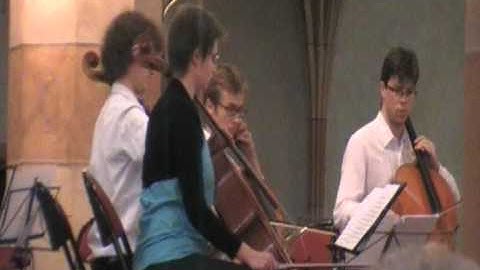 SCHUBERT- Quatuor Rosamonde (extrait)