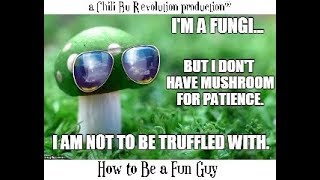 a Chili Bu Revolution production® ~How to Be a Fun Guy