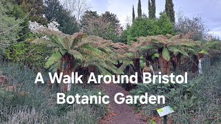 No. 81 - Spring Tour of Bristol Botanic Garden