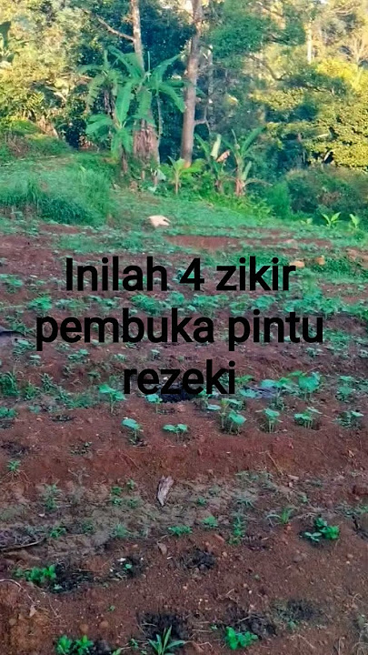 inilah 4 zikir #motivation #katakatabijakalibinabuthalib #fromkatabijak