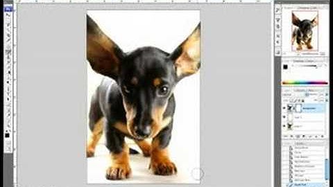 Photoshop CS3: Reflections & Text : Photoshop CS3 Reflections: Mask Feature