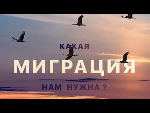 Какая миграция нам нужна?