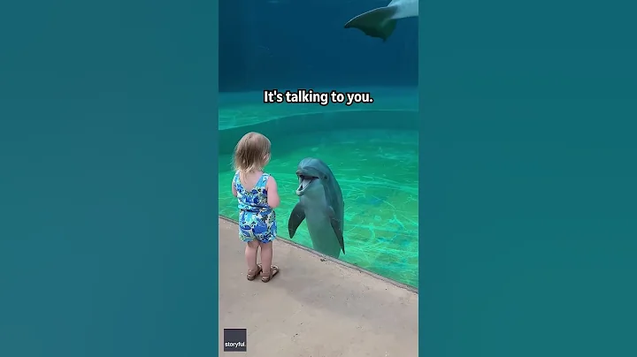 Little girl and super social dolphin stop to have a sweet chat | Humankind #shorts #goodnews - DayDayNews