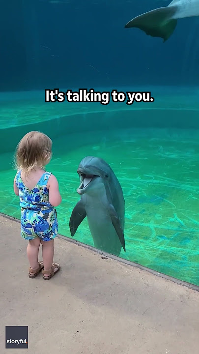 Little girl and super social dolphin stop to have a sweet chat | Humankind #shorts #goodnews