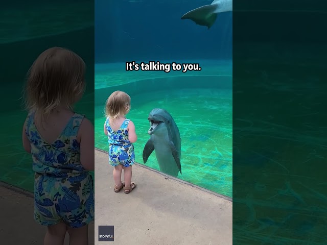 Little girl and super social dolphin stop to have a sweet chat | Humankind #shorts #goodnews class=