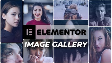 How to Make Wordpress Image Gallery Plugin (Free) | DesignWithAI