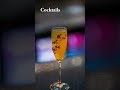Hala Restaurant Cocktails