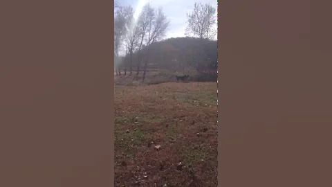 Roman Running
